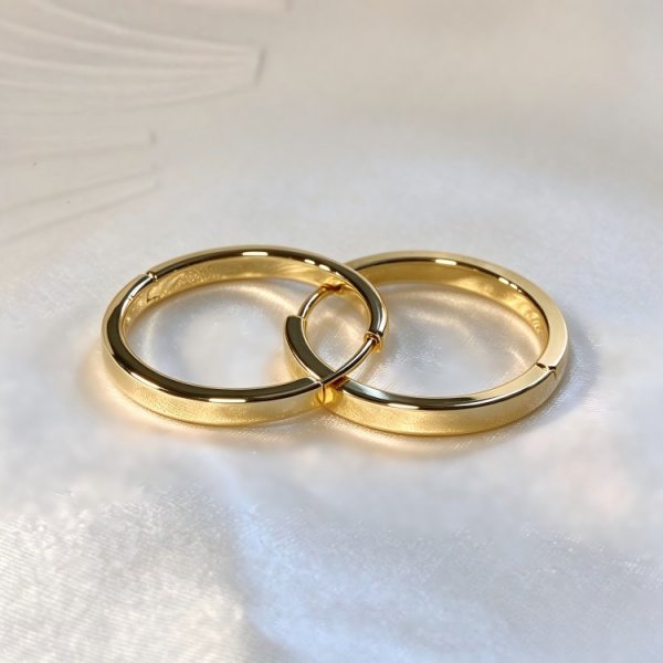 French circle earrings tide earrings niche design plain circle earrings earrings ear buckle female round circle cold wind